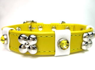 イエロー・花・首輪