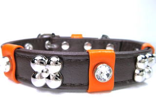 ブラウンのかわいい首輪