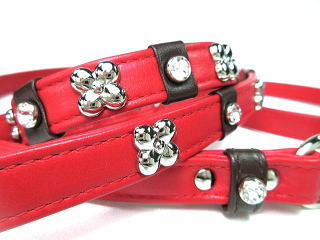 レッド・首輪とリード