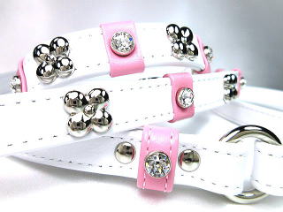 首輪とリード・ホワイト