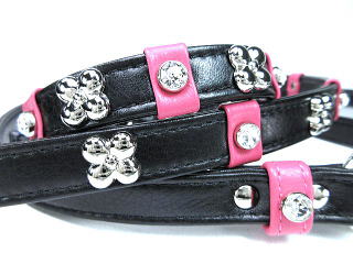 ブラック・首輪とリード